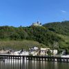 Mosel 335